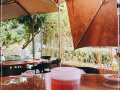 -竹语饭香·原生态农庄·烧鸡·竹筒饭·河鲜(森林海白水寨店)