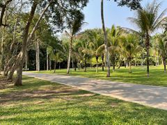 -中国科学院西双版纳热带植物园
