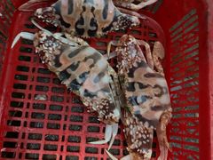 -幸福姐海鲜大排档