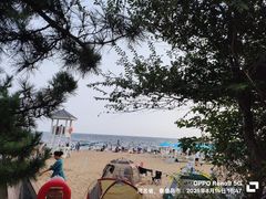 -老虎石海上公园