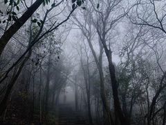 -紫金山山顶公园