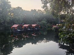 -侨美·唐荔园·40年地道粤菜