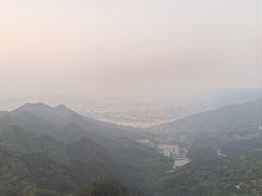 -大金鹰园