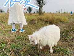 -敕勒川草原文化旅游区