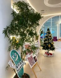 -紫琪尔·匠心连锁·胸部护理养护