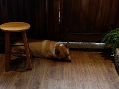 -阿木舂记·特色小吃(平江路店)