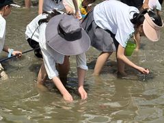 -洪湖家庭农场·团建·露营·会议