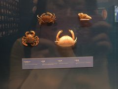 -上海中国航海博物馆