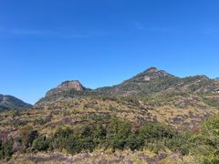 -武夷山风景名胜区-玉女峰