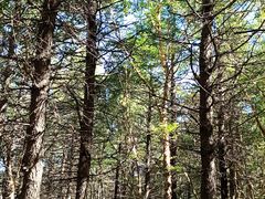 -白草畔自然风景区