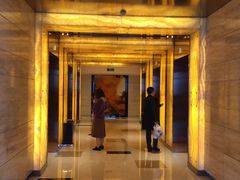 -上海龙之梦万丽酒店