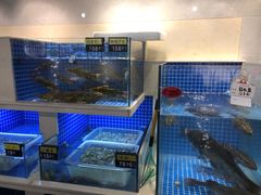 海鲜池-双浦小院