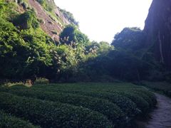 -武夷山风景名胜区-虎啸岩