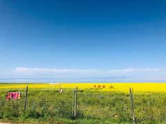 -青海湖国家重点风景名胜区