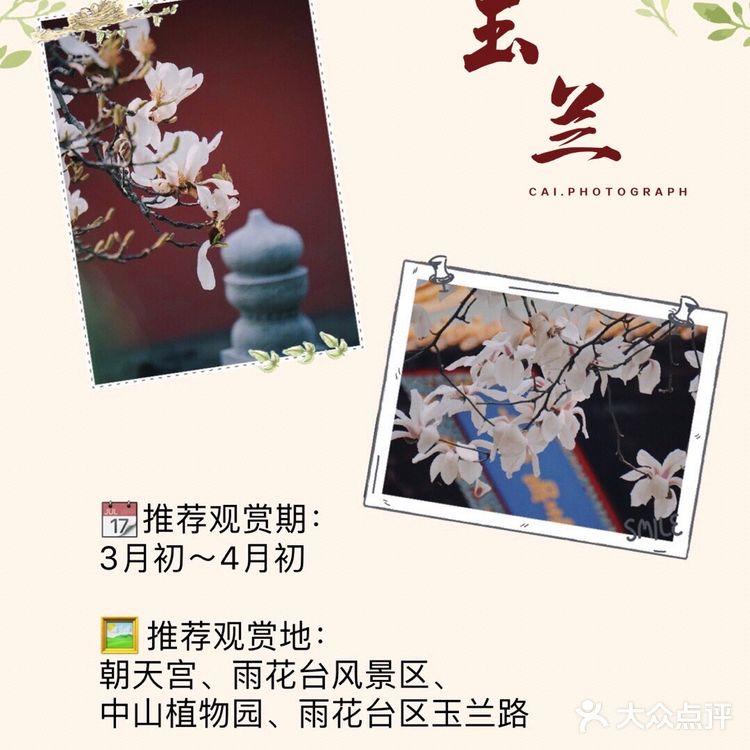 南京最全赏花地图🌸承包春天，有这份攻略就够了‼️
