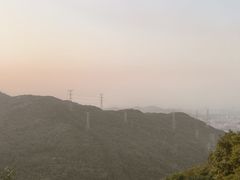-阳台山森林公园