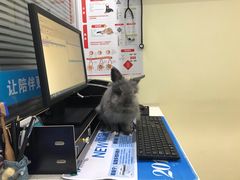 -美迦爱-牙专科·兔科·骨科诊疗中心(北苑店)