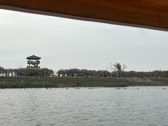 -杭州湾海上花田景区