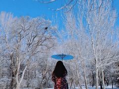 -辽宁友谊宾馆