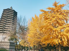 -玲珑塔公园