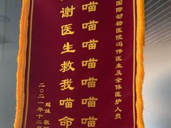 -中农国际动物医院24小时·猫科·骨科·急重症中心