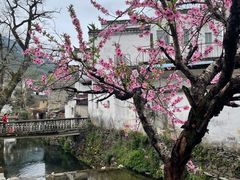 -婺源风景区