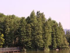 -海珠湖公园