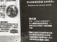 -怀托摩萤火虫洞