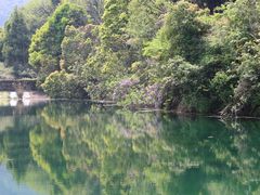 -龙坞茶村
