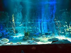 -沈阳海洋探索中心