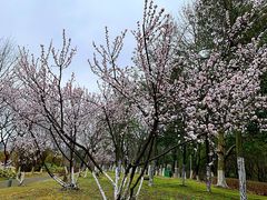 -白塘生态植物园