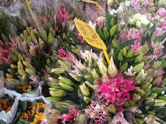 -循礼门鲜花花市(武汉循礼门店)