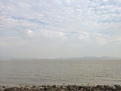 -深圳湾公园(南山区)