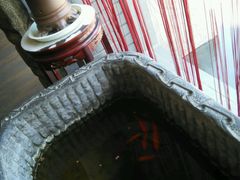 android_upload_pic-笨鸡小跑·临沂炒鸡·佛跳墙(罗庄店)