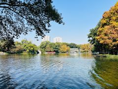 -荔湾湖公园