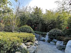-楼观道温泉酒店