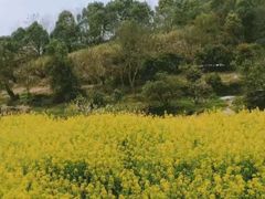 -天台山赤城山景区