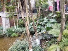 -铜锣湾·有麝自然香(重庆新天地店)