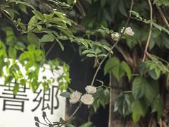 -斯多格书乡(北京大学畅春园店)