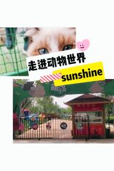 -萌宠亲子动物乐园(槐房万达店)