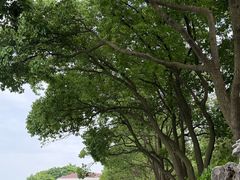 -东山雕花楼