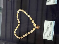 -上海海洋大学鱼文化博物馆(军工路校区)