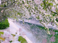 -海棠花溪(元大都城垣遗址公园)