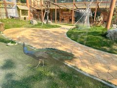 -辛玛王国游乐园