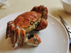 -王宝和酒家(黄浦店)
