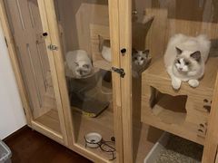 -lincat·猫舍(广州店)