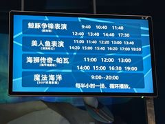 -海合安青岛极地海洋公园