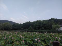 -云龙湖旅游景区