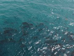 -海云台海滩