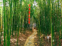 -竹泉村旅游度假区